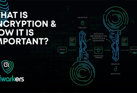 What is Encryption and How it is important